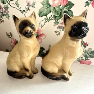 Siamese Cat Pair - Brazil